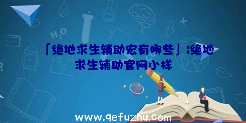 「绝地求生辅助宏有哪些」|绝地求生辅助官网小样